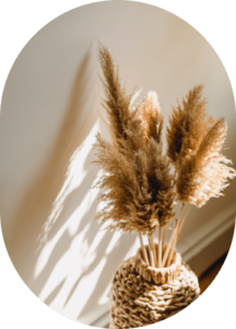 Parlor Palm